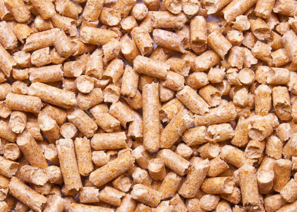 KOI Food and Koi Feeding Information